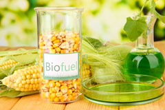 Stanford Le Hope biofuel availability